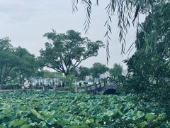 -蠡湖大桥公园
