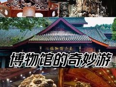 -乐山乌木文化博览苑