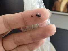 -老北京豆汁店