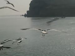 -海驴岛(荣成市)