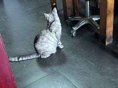 -老北京褡裢火烧·任记