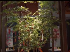 -肆月河豚·淮扬菜·湘菜(华天店)