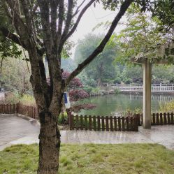 -长沙小顽国景区