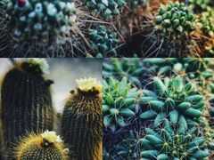 -国家植物园南园