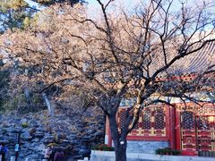 -香山公园