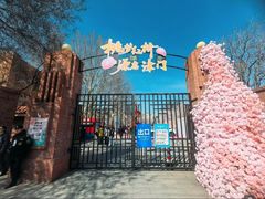 -桃花堤公园