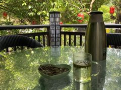 -阿巧茶庄