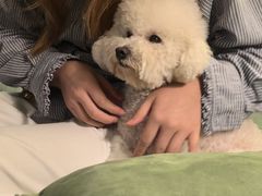-默迹咖啡馆
