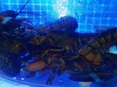 -鼓歌海鲜舫·手抓海鲜(大学城店)