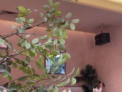 -墨纪Mojí墨西哥餐厅(官舍店)