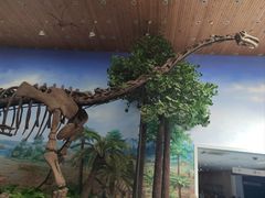 -延庆地质公园博物馆