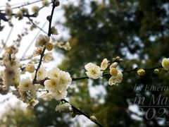 -静安雕塑公园