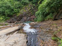 -广州白江湖森林公园