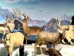 -陕西自然博物馆