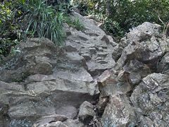 -午潮山国家森林公园