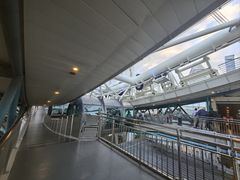 -新加坡摩天观景轮