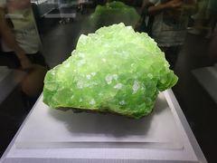 -湖南省地质博物馆