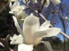 -塔林历史中心