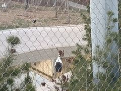 -太原动物园