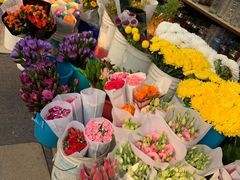 -秦美花卉(天朗·莱茵小城2期店)