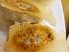 招牌素锅贴-台北楚楚园馅饼粥(虹桥南丰城店)