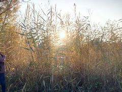 -奥林匹克森林公园南门-停车场