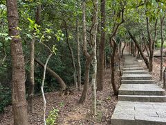 -梧桐山风景名胜区