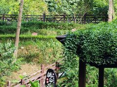 -汇雅温泉