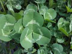 android_upload_pic-云龙湖旅游景区