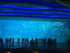 长隆横琴湾酒店-长隆横琴湾酒店(珠海旗舰店)