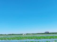 -天津东丽湖风景区