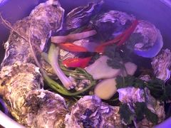 -千岛蚝高压锅生蚝·人参火锅(白云万达店)