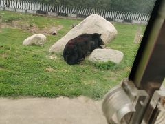 -西安秦岭野生动物园