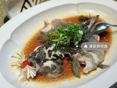 -粤珍轩·家宴·广式茶点(新城广场店)