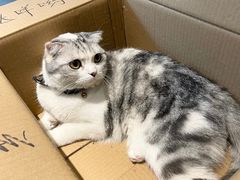 -作咖啡(养育巷店)