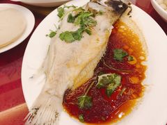 -上海国际饭店