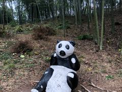 -天目湖山水园
