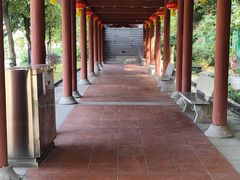 -广州神农草堂中医药博物馆