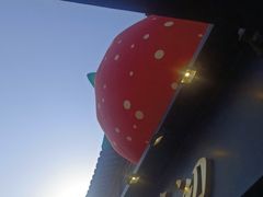 -茉沏(山塘街店)