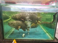 -聚福宝合苑食府(南头镇店)