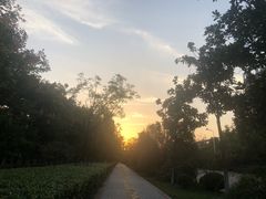 -天鹅湖体育公园