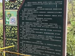 -南湾湖