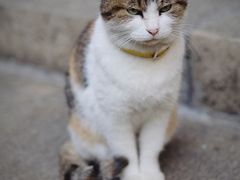 -巴金故居