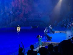 -芜湖新华联大白鲸海洋公园