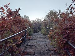 -香山公园