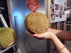 -都念榴莲·城市榴莲