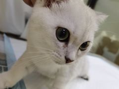 -艾贝尔宠物诊疗