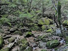 -本溪汤沟绿石谷森林公园