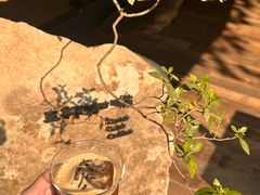 -江滨壹号艺文空间复合餐厅(闽江大道店)