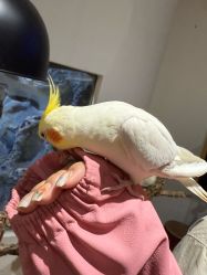 -Zoolung Zoolung动物主题公园(海信广场店)